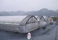 篠田いちご園の写真・動画_image_64018