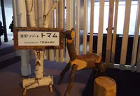 星野リゾート トマム ザ・タワーの写真・動画_image_65856