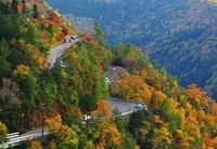 嵐山−高雄パークウェイの写真・動画_image_66527