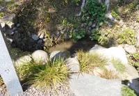大通寺の写真・動画_image_68415