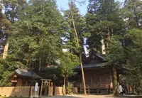 幣立神宮の写真・動画_image_71083