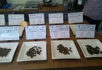 赤い実コーヒーの写真・動画_image_95134