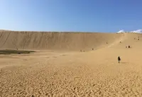 鳥取砂丘の写真・動画_image_1073735