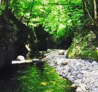 奈良子釣りセンターの写真・動画_image_145197