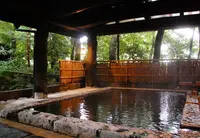 やまなみの写真・動画_image_150674