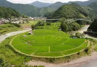 あらぎ島の写真・動画_image_162613