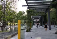 豊洲フォレシアの写真・動画_image_168740