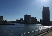 豊洲運河の写真・動画_image_168779