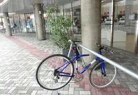 テクスポート今治の写真・動画_image_177677