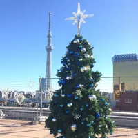 浅草ハレテラスの写真・動画_image_209708