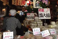 東京 すがも園の写真・動画_image_126400