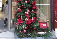 ファンケル銀座スクエアの写真・動画_image_205828