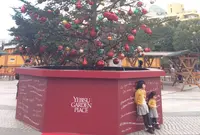 恵比寿ガーデンプレイスの写真・動画_image_209687