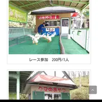 のぼりべつクマ牧場の写真・動画_image_143414