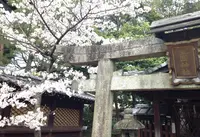 新日吉神宮の写真・動画_image_26933