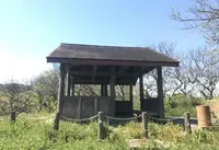 田浦梅の里の写真・動画_image_271930