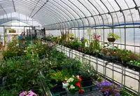 ラベンダーパーク多可の写真・動画_image_33267