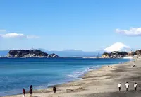 bills 七里ヶ浜の写真・動画_image_40924