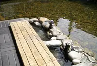 さとの湯の写真・動画_image_45028