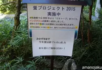 大江戸温泉物語Premium 仙台作並（旧：鷹泉閣岩松旅館）の写真・動画_image_61196