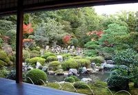 等持院西町の写真・動画_image_65794