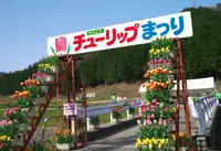 たんとう花公園の写真・動画_image_71265