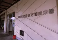 市場食堂 いっしん太助の写真・動画_image_79189