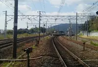 レリッシュの写真・動画_image_99992