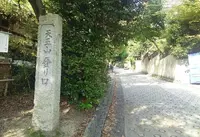 レリッシュの写真・動画_image_99998