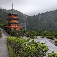 那智の滝の写真・動画_image_1140739