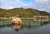 苧ヶ瀬池（おがせ池）の写真・動画_image_127957