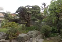 こもれど淡路の写真・動画_image_133983