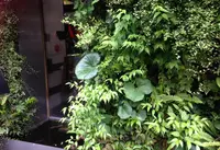 萌の写真・動画_image_135215