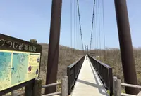 つつじ吊橋の写真・動画_image_136328