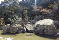 旧益習館庭園の写真・動画_image_172842