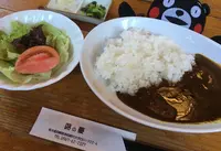 ふきのとうの写真・動画_image_210749