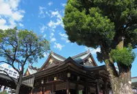 湯島天満宮（湯島天神）の写真・動画_image_289928