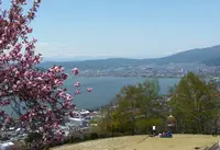 立石公園の写真・動画_image_310092