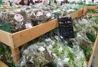 JAならけん まほろばキッチンの写真・動画_image_329017