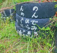 行司ヶ滝の写真・動画_image_648299