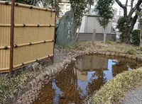 萩の玉川の写真・動画_image_915611