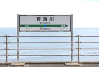 青海川駅の写真・動画_image_998491