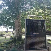 広徳寺の写真・動画_image_71656