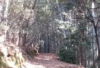 石清水八幡宮の写真・動画_image_21463