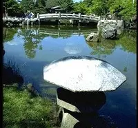 円山公園の写真・動画_image_21479