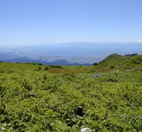 伊吹山の写真・動画_image_22358