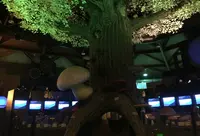 茨城県きのこ博士館の写真・動画_image_30936