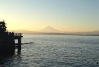 江の島の写真・動画_image_31583