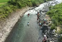 道志川の写真・動画_image_52766
