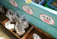 網元津田正水産の写真・動画_image_57106